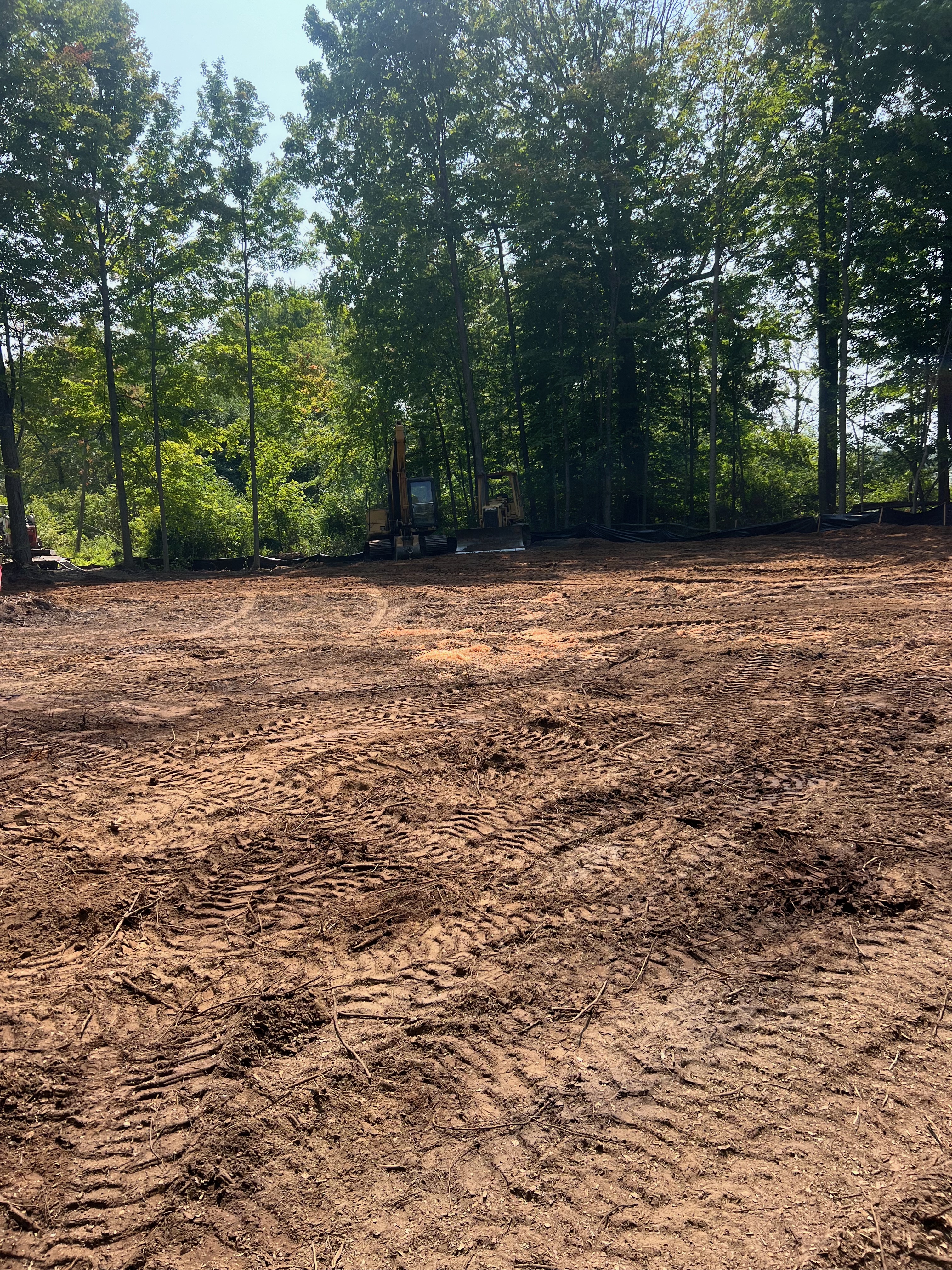 Site clearing in Allegan Michigan