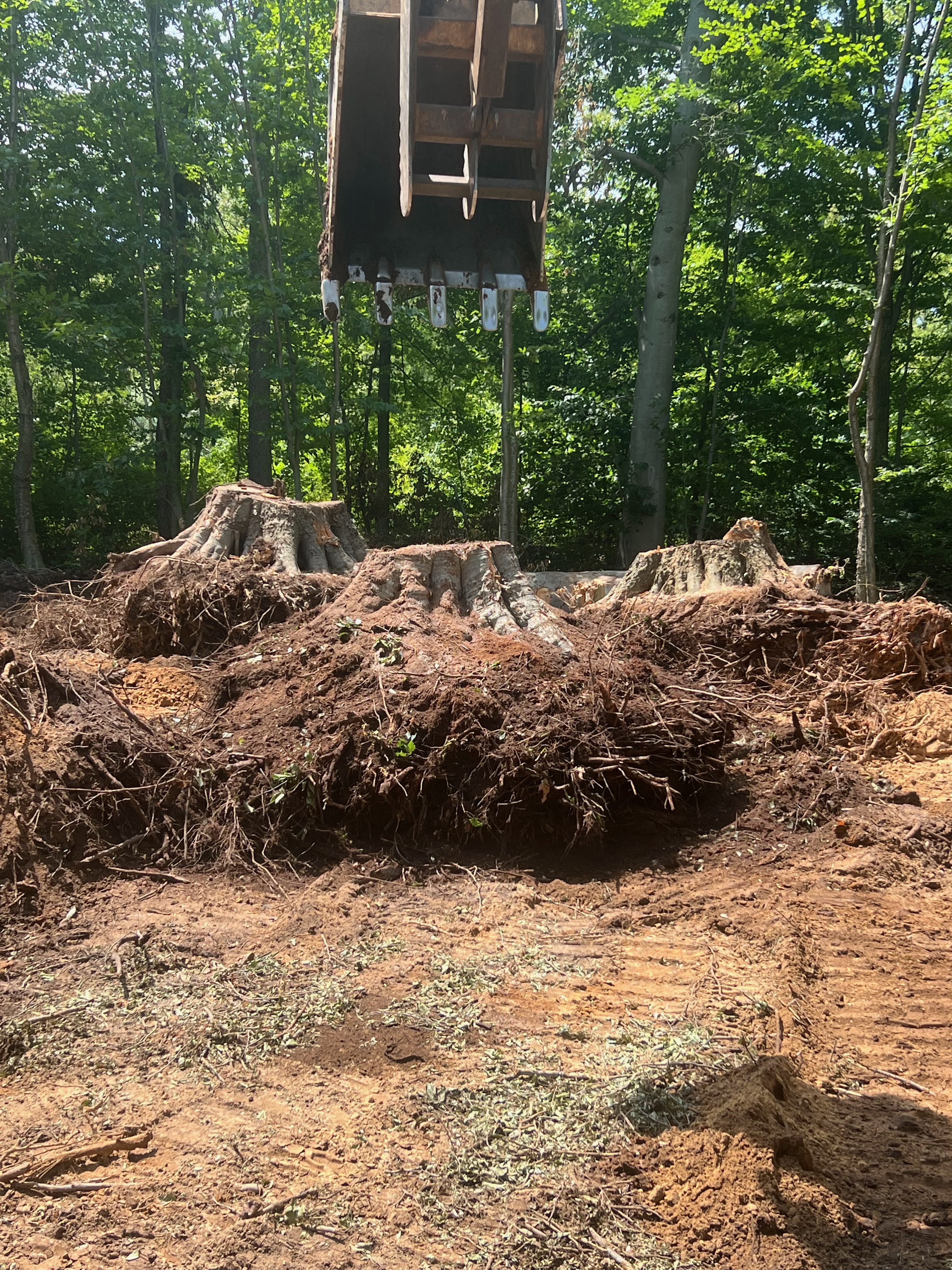 Site clearing and stump removal in Allegan Michigan